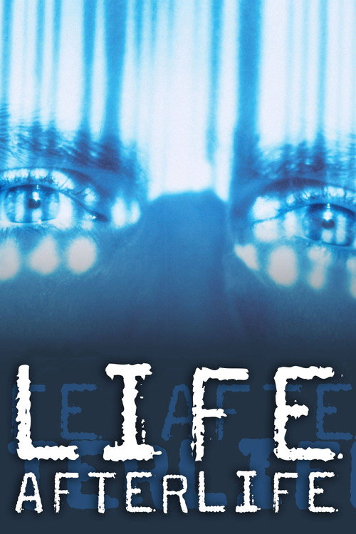 America Undercover: Life Afterlife Poster