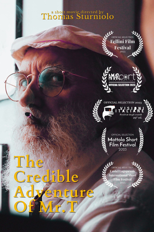 The Credible Adventures of Mr. T Poster