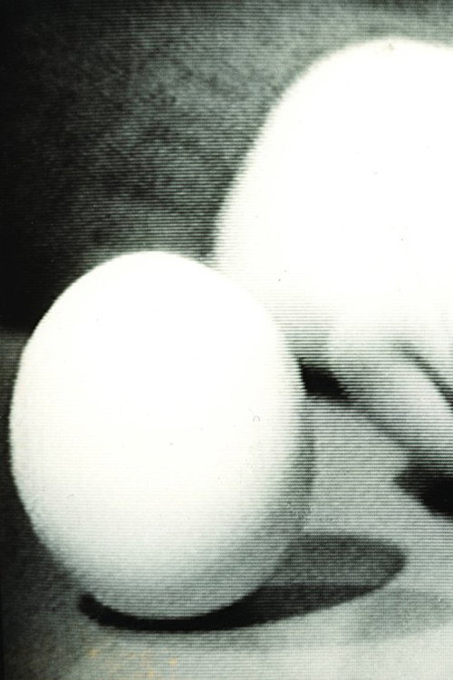 Statics of an Egg Poster