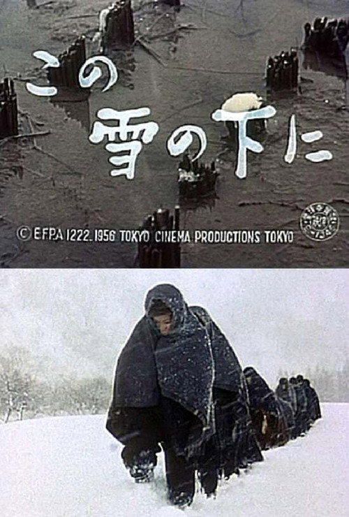 Country Life under Snow Poster