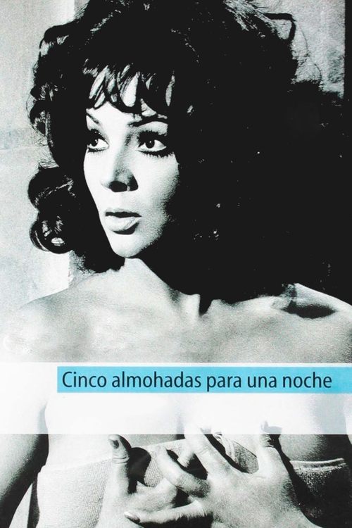 Five Pillows for One Night Poster