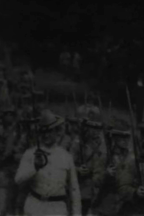 15th Infantry Poster