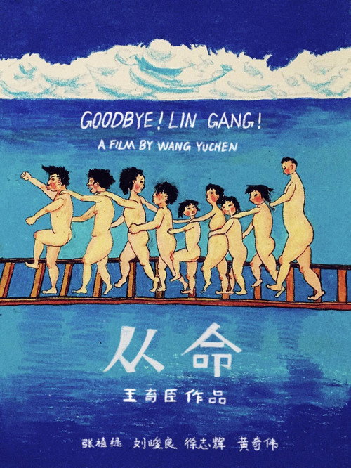 Goodbye! Lin Gang! Poster