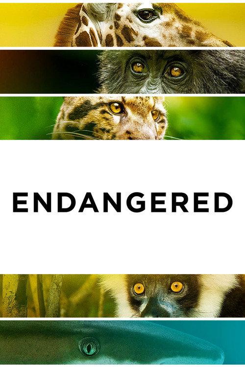 Endangered Poster