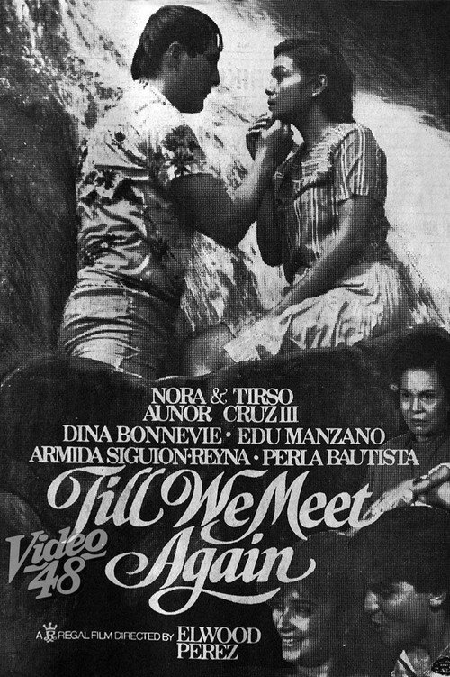Till We Meet Again Poster