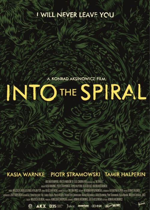 Into the Spiral Poster