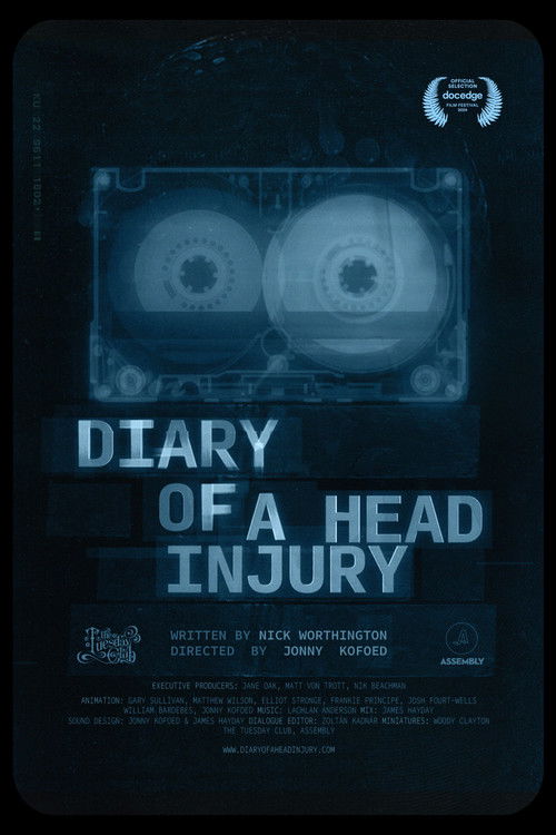 Diary of a Head Injury Poster