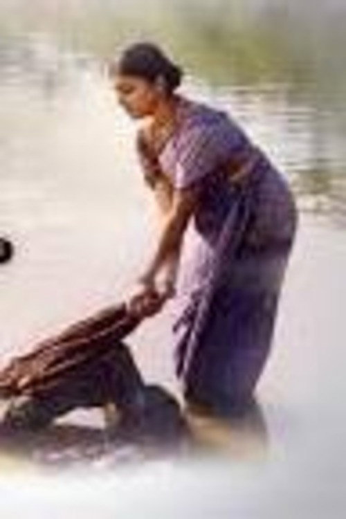 Neela Mastarani Poster