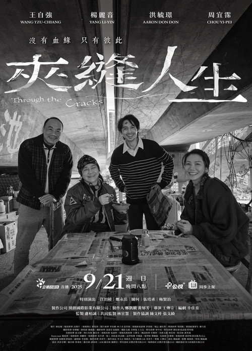 Through the Cracks Poster