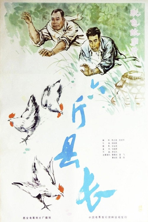 六斤县长 Poster