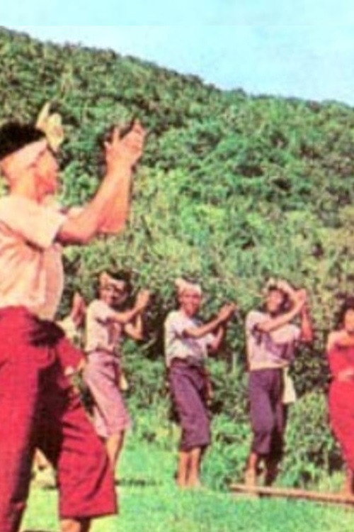 The Enchanted Forest Poster