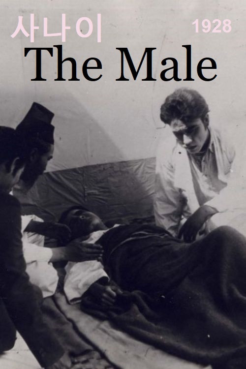 The Male Poster