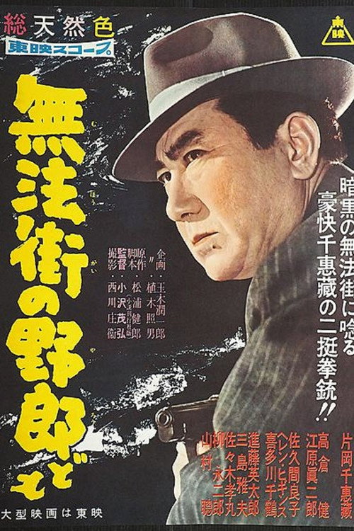 The Bastards of Lawless Town Poster