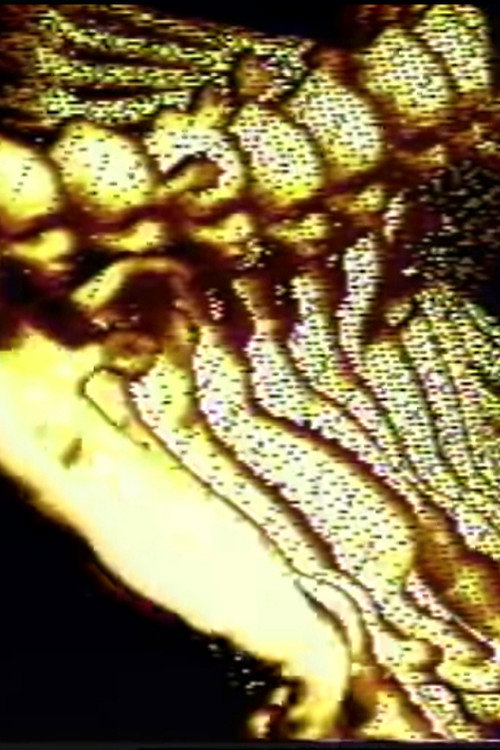 Viscous Meanderings Poster