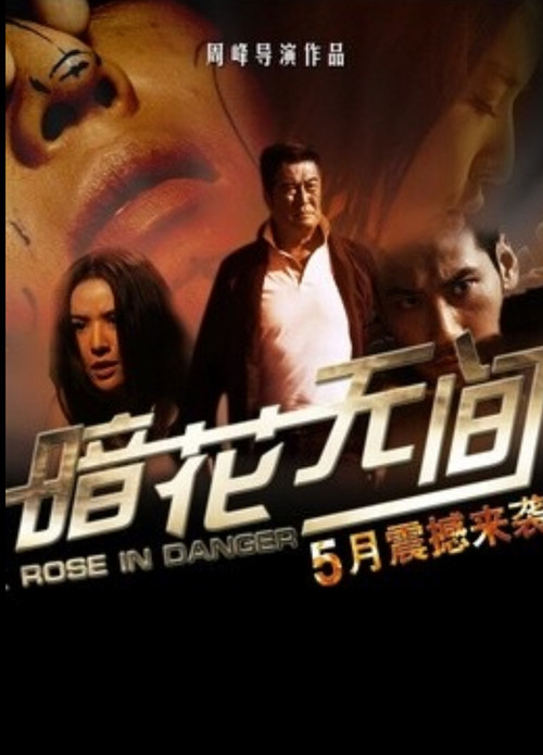 暗花无间 Poster