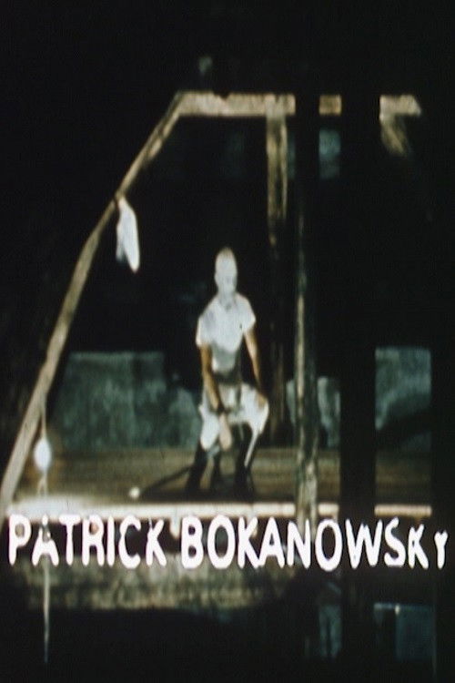 A Creator of the Imaginary: Patrick Bokanowski - Short Film Poster