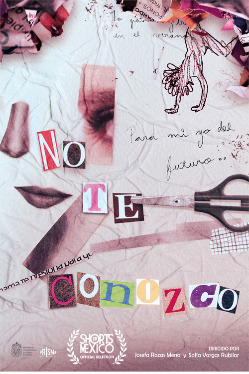 I Don´t Know You Poster