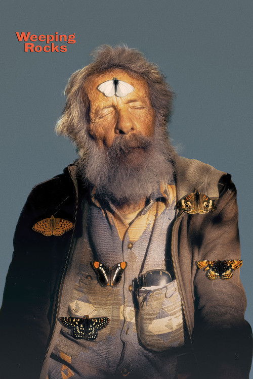 Weeping Rocks Poster