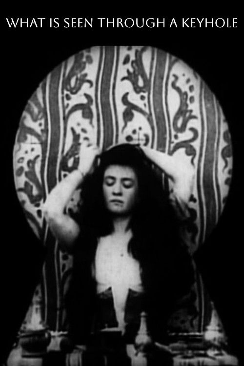 What Happened to the Inquisitive Janitor Poster