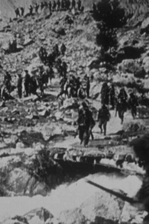 Batterie dans la montagne Poster