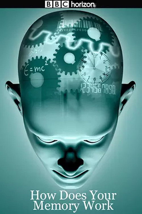 How Does Your Memory Work Poster
