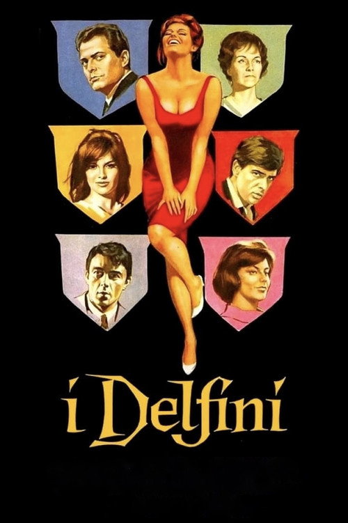 The Dolphins Poster