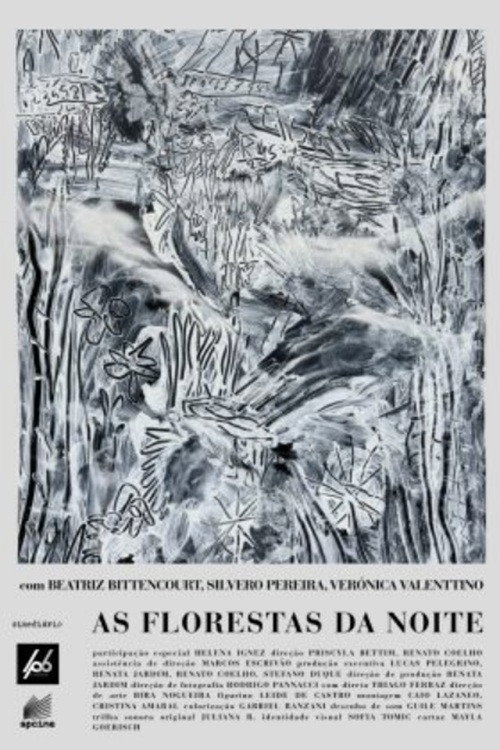 As Florestas da Noite Poster