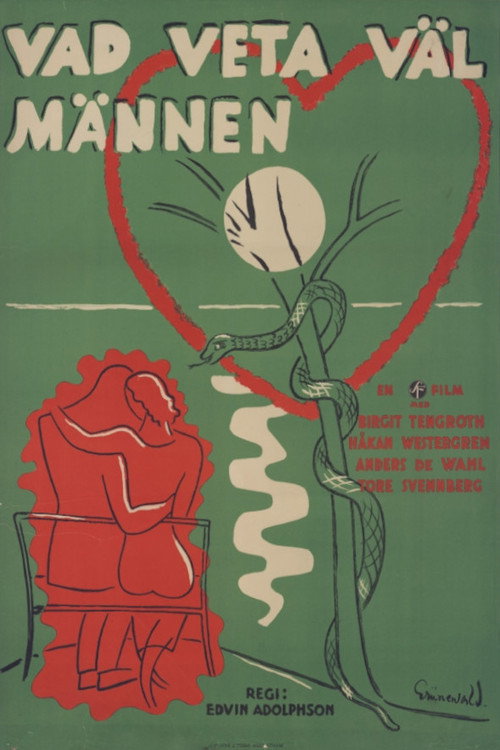 Vad veta väl männen? Poster