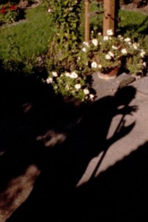 Out in the Garden Poster