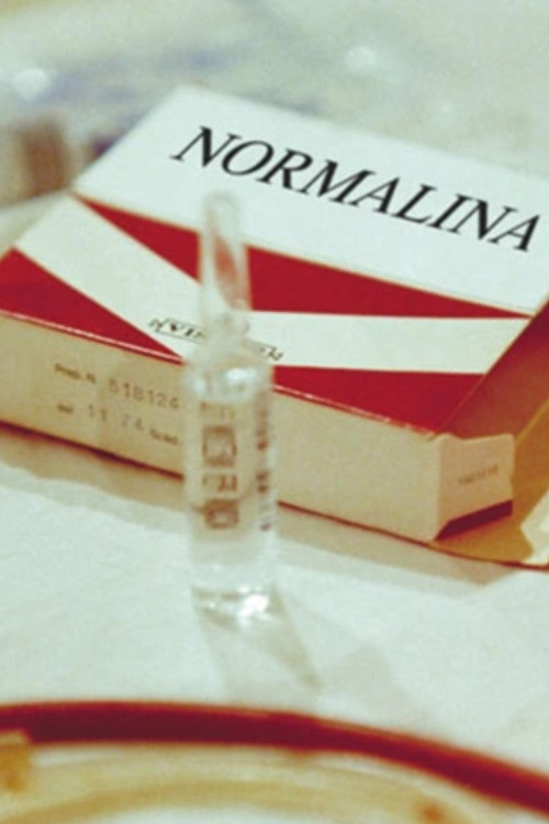 Dinni e la Normalina, ovvero la Videopolizia Psichiatrica contro i sedicenti Gruppi di Follia Militante Poster