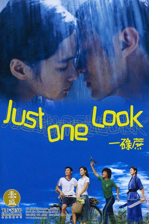 Just One Look Poster