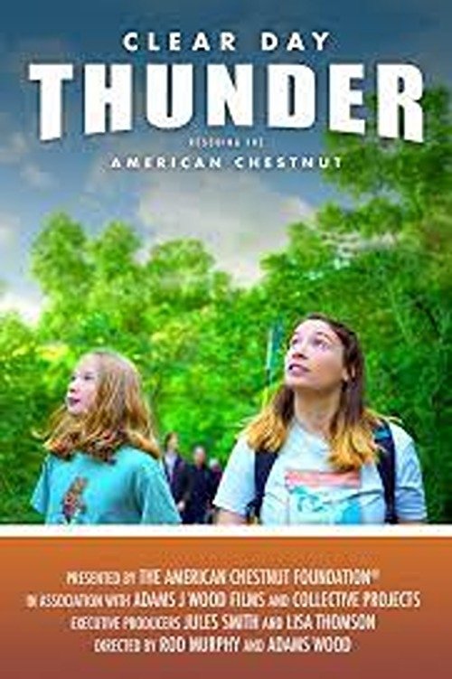 Clear Day Thunder: Rescuing the American Chestnut Poster