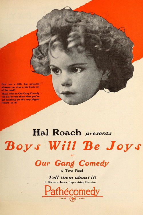 Boys Will Be Joys Poster