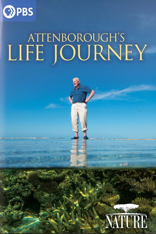Attenborough's Life Journey Poster
