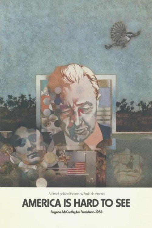 America Is Hard to See Poster