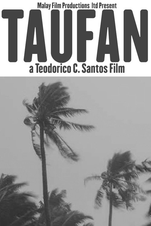 Taufan Poster
