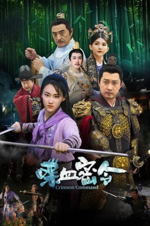 喋血密令 Poster
