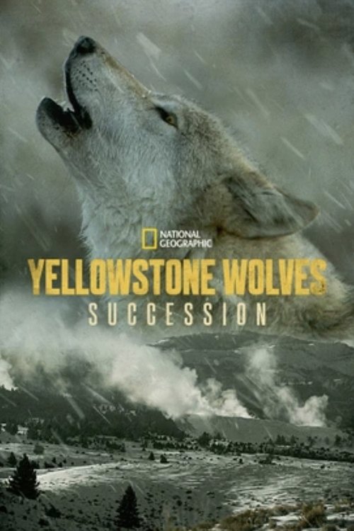 Yellowstone Wolves: Succession Poster