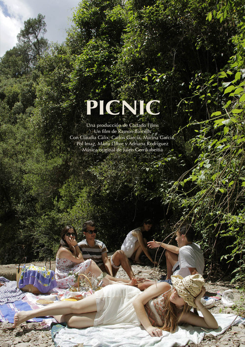 Picnic Poster