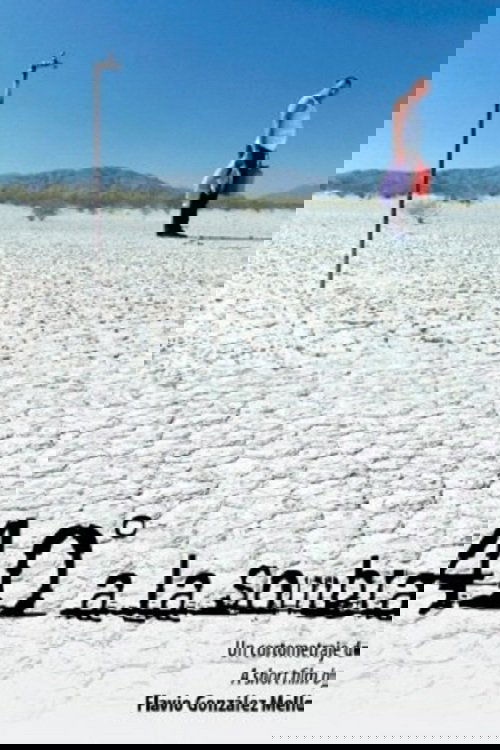 40°C In The Shade Poster