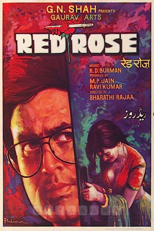 Red Rose Poster