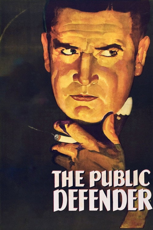 The Public Defender Poster
