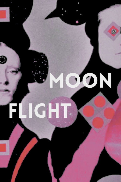 Moon Flight Poster