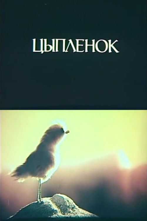 Little Chicken Poster