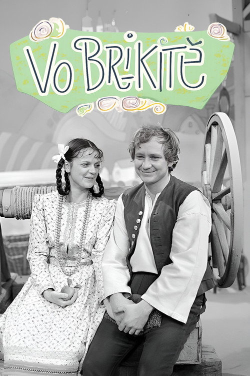 Vo Brikitě Poster
