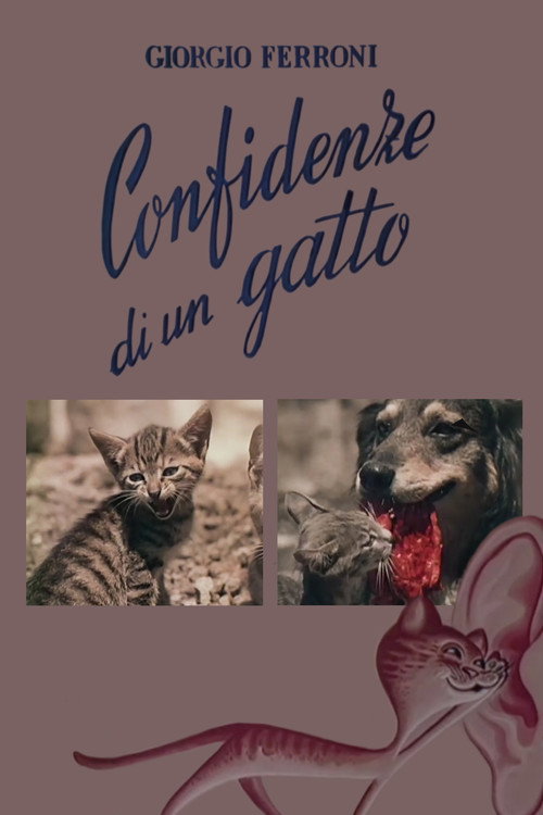 Confidenze di un gatto Poster