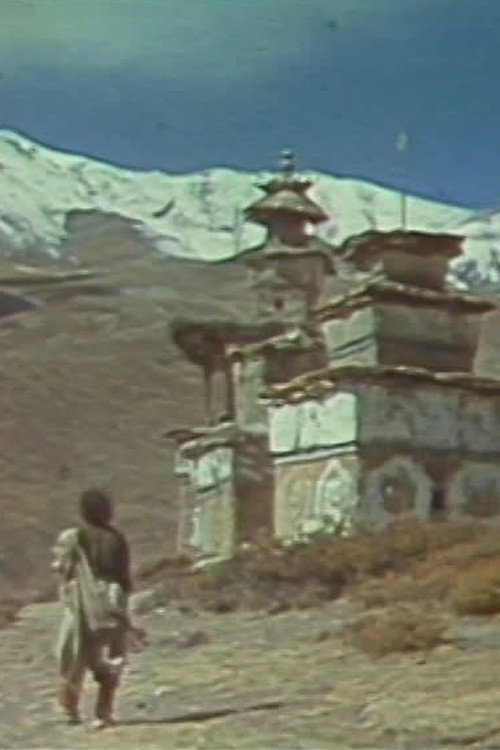 Tarap la vallée aux chevaux excellents Poster