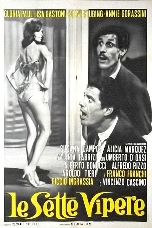 The Seven Vipers (The Latin Husband) Poster