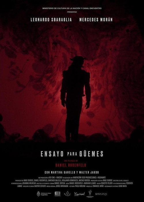 Ensayo para Güemes Poster