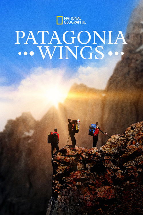 Patagonia Wings Poster